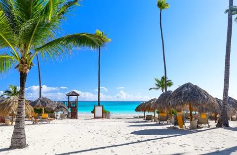 Tropical resort beach with palm trees, umbrellas and lounge chairs on white.. Stock Photos