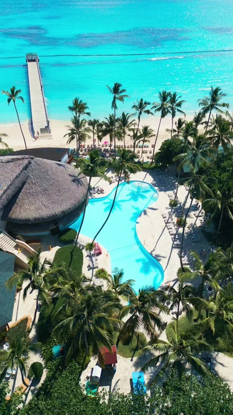 Tropical Resort Impressive with Pool and Palm Trees on Caribbean Beach Video stock 308654730