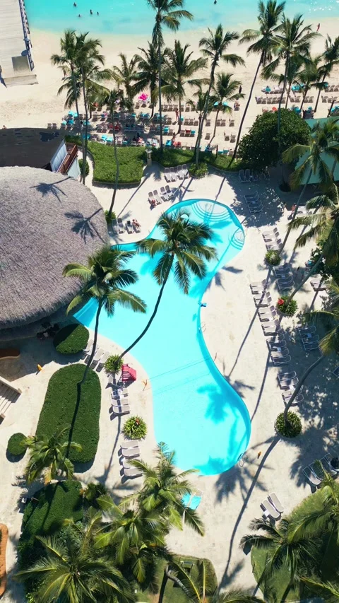 Tropical Resort Impressive with Pool and Palm Trees on Caribbean Beach Stock Footage 308655151