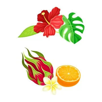 Tropical resort objects set. Exotic hibiscus flowers. dragon and orange fruit Stock Illustration
