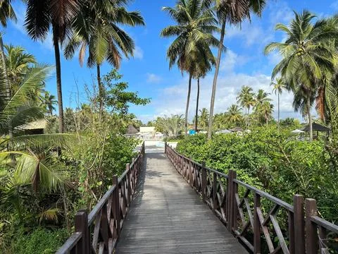 Tropical Resort Path Stock Photos
