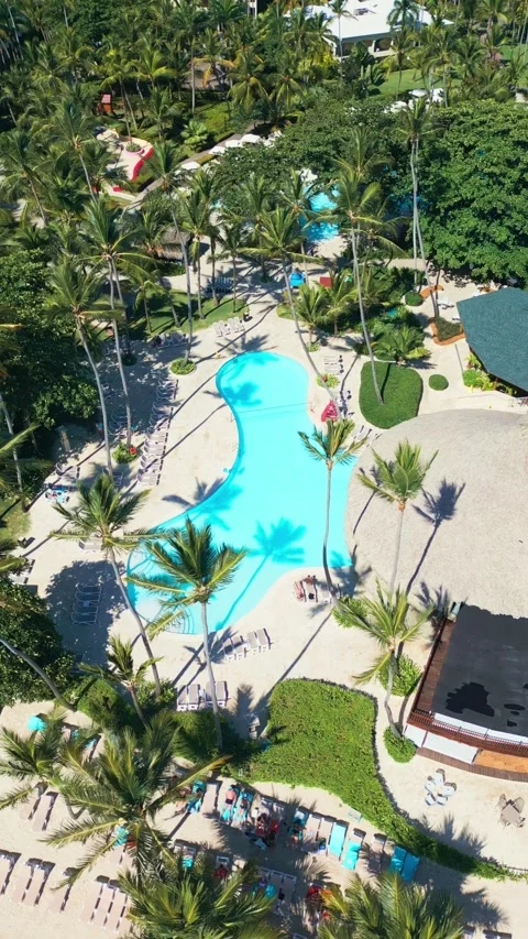 Tropical Resort Pool with Palm Trees - Aerial View in Impressive Punta Cana Stock Footage 308653486