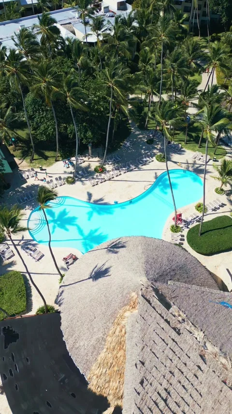Tropical Resort Pool with Palm Trees - Aerial View in Impressive Punta Cana Stock Footage 308653559