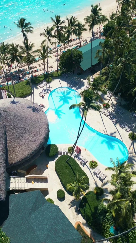 Tropical Resort Pool with Palm Trees - Aerial View in Impressive Punta Cana Stock Footage 308653659