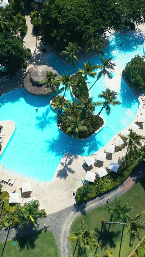 Tropical Resort Pool with Palm Trees - Aerial View in Impressive Punta Cana Video stock 308653678