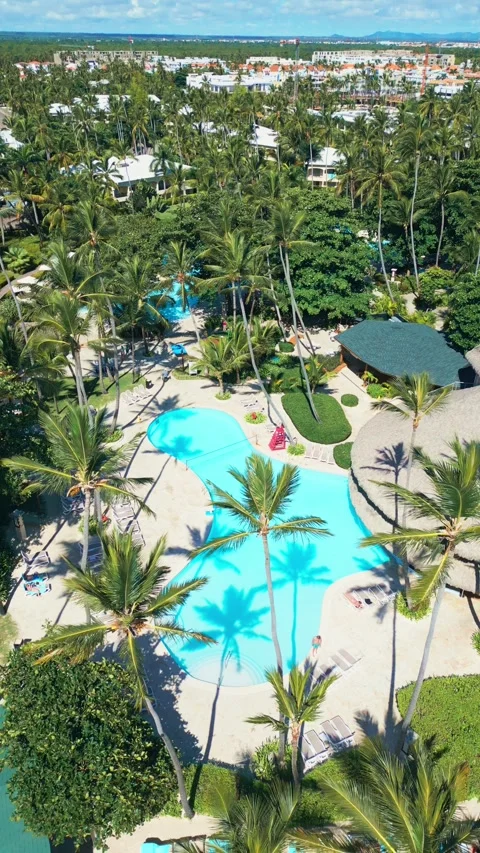 Tropical Resort Pool with Palm Trees - Aerial View in Impressive Punta Cana Stock Footage 308653712