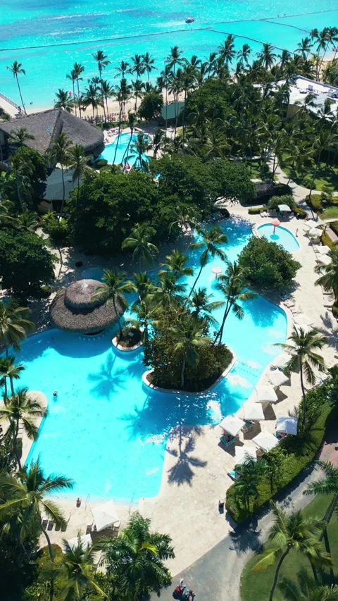 Tropical Resort Pool with Palm Trees - Aerial View in Impressive Punta Cana Stock Footage 308654581