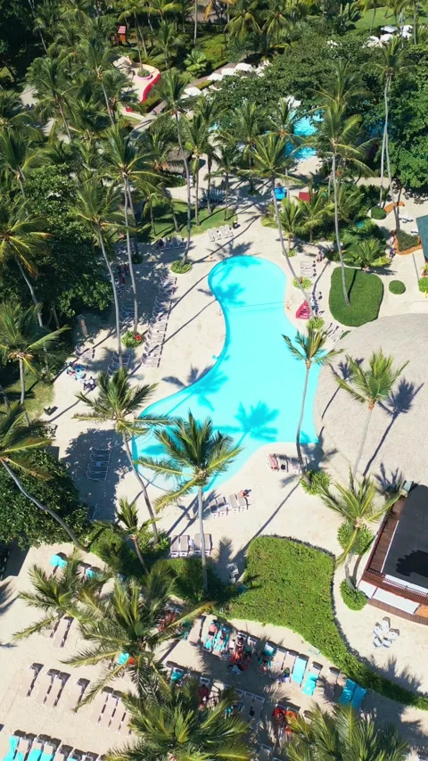 Tropical Resort Pool with Palm Trees - Aerial View in Impressive Punta Cana Video stock 308654766