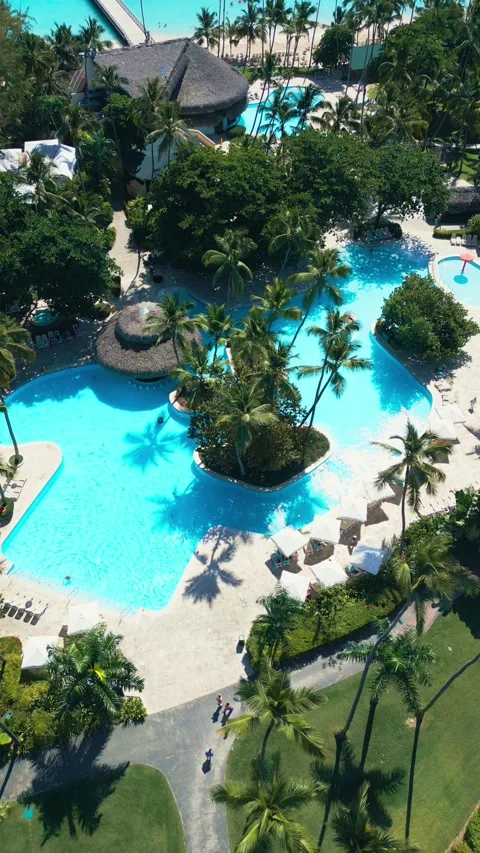 Tropical Resort Pool with Palm Trees - Aerial View in Impressive Punta Cana Video stock 308654833