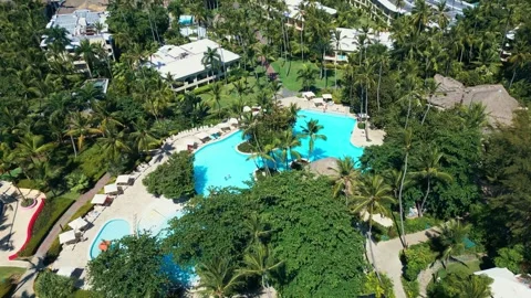 Tropical Resort Pool with Palm Trees - Aerial View in Impressive Punta Cana Stock Footage 308655091