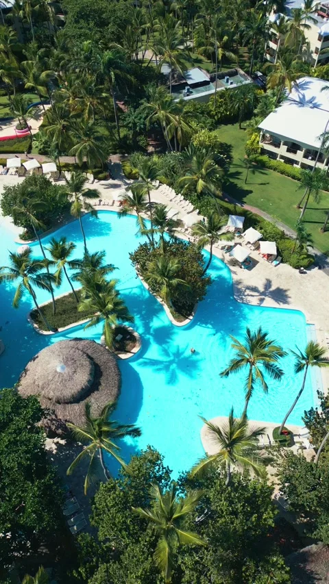 Tropical Resort Pool with Palm Trees - Aerial View in Impressive Punta Cana Stock Footage 308655455