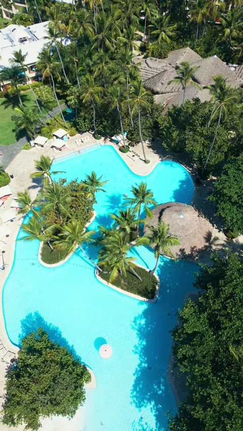 Tropical Resort Pool with Palm Trees - Aerial View in Impressive Punta Cana Video stock 308655663