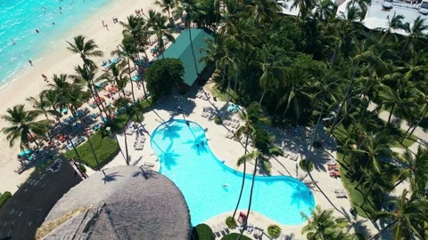 Tropical Resort Pool with Palm Trees - Aerial View in Impressive Punta Cana Stock Footage 308656076