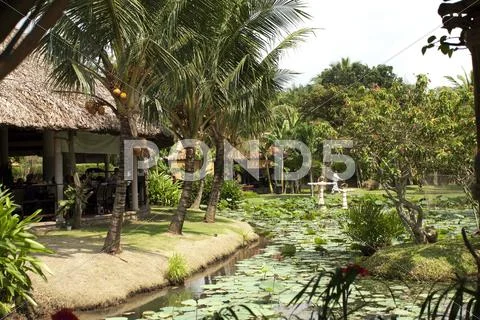 Tropical restaurant garden in Vietnam Stock Photos