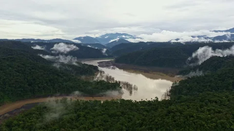 Tropical river Anguachaco running through the foothills of the Andes Stock Footage 234986943
