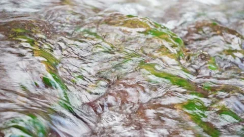 Tropical river close up in jungle. Waterfall with volcanic stones. Pure spring Stock Footage 166015280