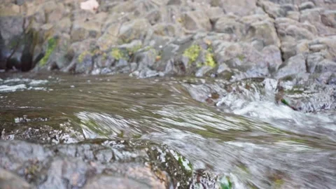 Tropical river close up in jungle. Waterfall with volcanic stones. Pure spring Video stock 166015345