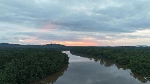 Tropical River at Dawn. Stock Photos