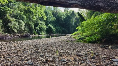 Tropical River Flowing Through Jungle With Mountain Backdrop Palawan 스톡 동영상 331587504