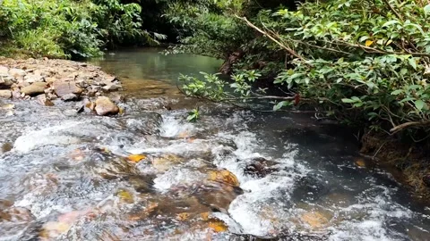 Tropical River Flowing Through Lush Rainforest - 4K Stable Tripod Stock Footage 327627918