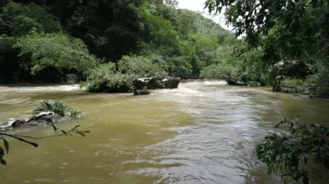 Tropical river Stock Footage 10578036