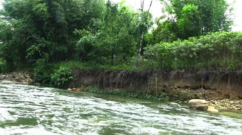 Tropical river  Stock Footage 57333020