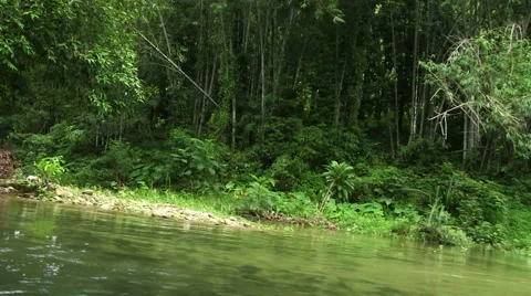 Tropical River Stock Footage 58314191