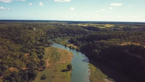 Tropical river Video stock 100755751