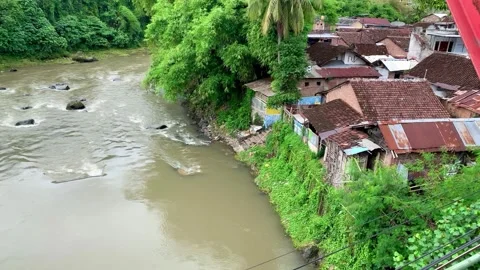 Tropical River Stock Footage 219982705