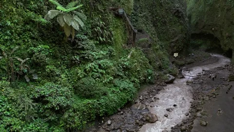 Tropical River Gorge in East Java Indonesia with Muddy Water Flowing Through Video stock 327838840