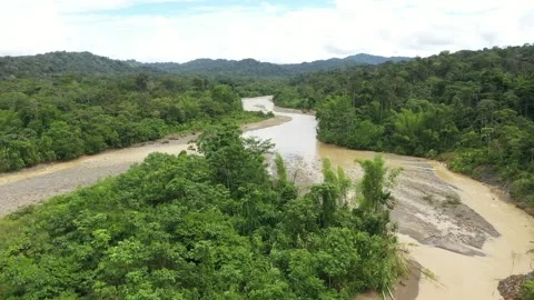 A tropical river inside the rainforest turning into the shape of a world Stock Footage 142748510