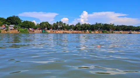 Tropical river landscape with palm trees and blue sky Vídeo Stock 331807199