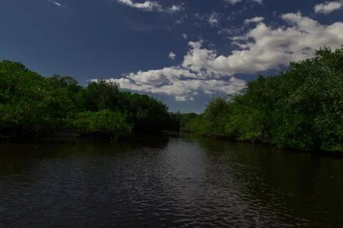 Tropical river Stock Photos