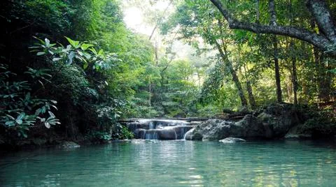 Tropical River 스톡 사진