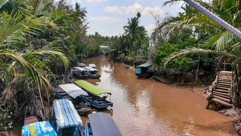 Tropical river Stock Photos