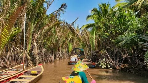 Tropical river Stock Photos