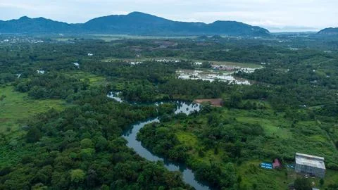 Tropical river Stock Photos