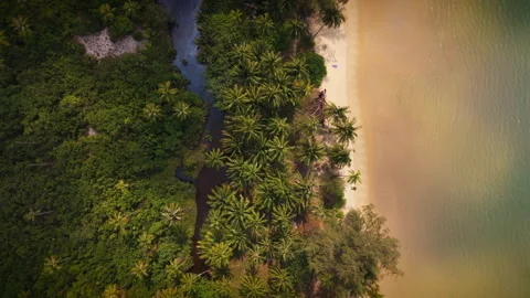 Tropical River Running Parallel To Beach With Ocean Waves Stock-Footage 313469981