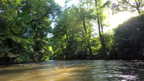 Tropical river view from front action camera with nice lens flares Stock Footage 136350939