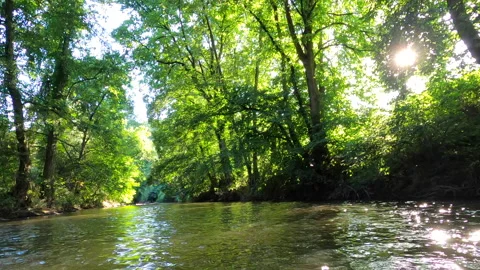 Tropical river view from the front action camera with nice lens flares Stock Footage 136351841