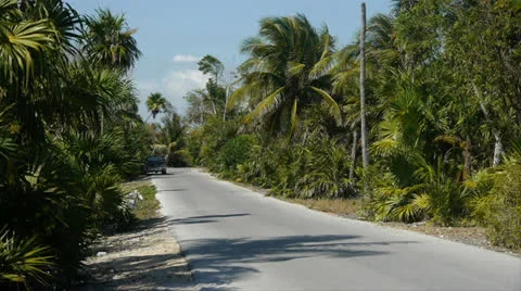 A Tropical Road Vídeo Stock 22813508