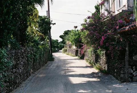 Tropical Road Stock Photos