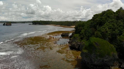 Tropical rock pool Stock Footage 108258378