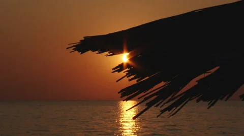 Tropical romantic background Stock Footage 30414267