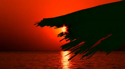 Tropical romantic background Stock Footage 30414612