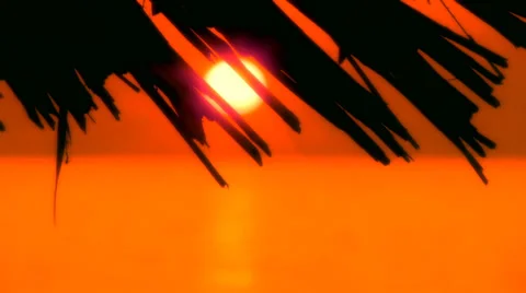 Tropical romantic background Stock Footage 30426639