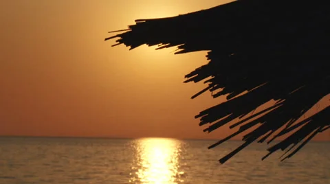 Tropical romantic background Stock Footage 30426687