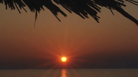 Tropical romantic background Stock Footage 30426752