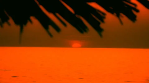 Tropical romantic background Stock Footage 30426858