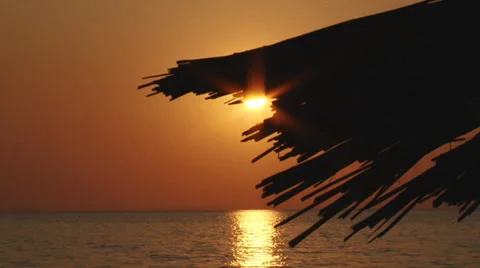 Tropical romantic background Stock Footage 30427462